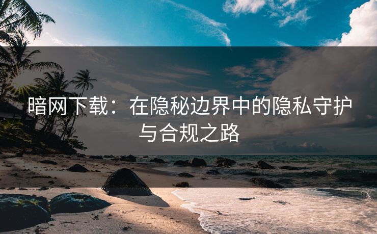 暗网下载：在隐秘边界中的隐私守护与合规之路