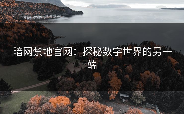 暗网禁地官网：探秘数字世界的另一端