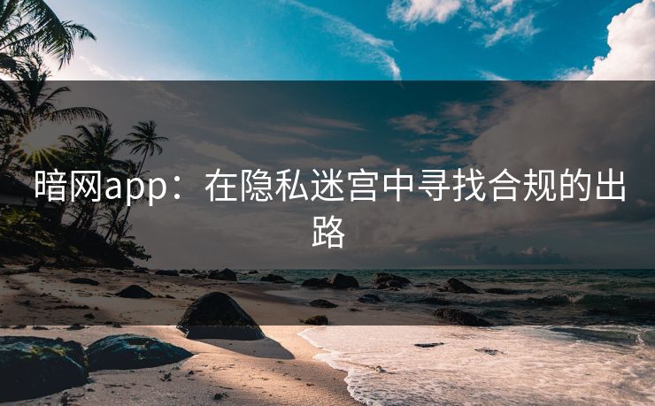 暗网app：在隐私迷宫中寻找合规的出路